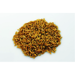 25 Kg Grano duro varietà  "Perciasacchi"