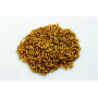 25 Kg Grano duro varietà  "Perciasacchi"
