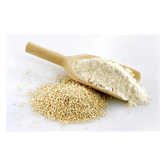 25 Kg Farina di Quinoa