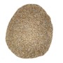 5Kg Grano duro varietà "Russello"