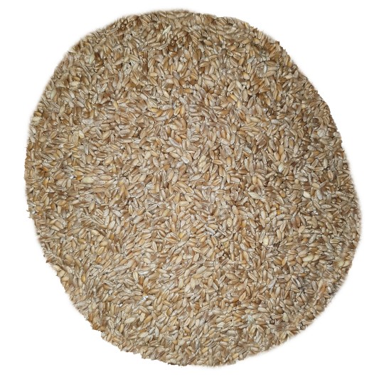 25 kg Timilia (Tumminia) Durum Wheat