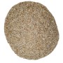 25 Kg Grano Duro varietà "TIMILIA (Tumminia)"