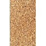 5Kg Grano duro siciliano