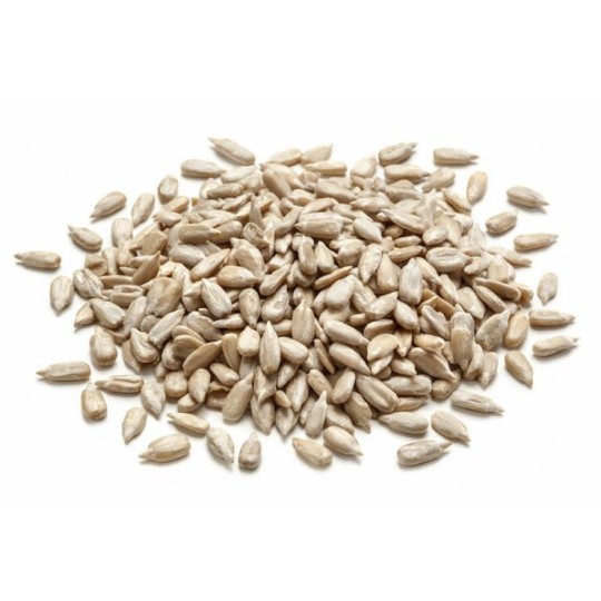 25 kg Semi di Girasole