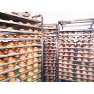 13pz x70g  Brioche Siciliane "Con il Tuppo"