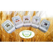5kg Mix Pack Sicilia " PERCIASACCHI, PANE NERO, TIMILIA, RUSSELLO, MAIORCA-MOLINO ZAPPALA'