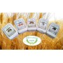 5 kg Mix Pack Sizilien "PERCIASACCHI, PANE NERO, TIMILIA, RUSSELLO, MAJORCA-MOLINO ZAPPALA"