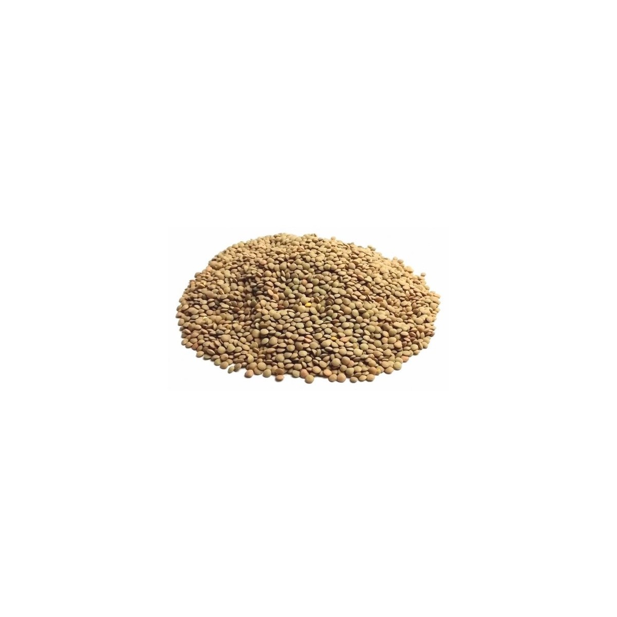 25 kg Lenticchie Piccole "SICILIANE"