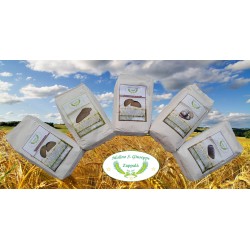 5kg Mix Pack Integrale "RUSSELLO, TUMMINIA, SARACENO, INTEGRALE DI GRANO DURO, SEGALE-MOLINO ZAPPALA'