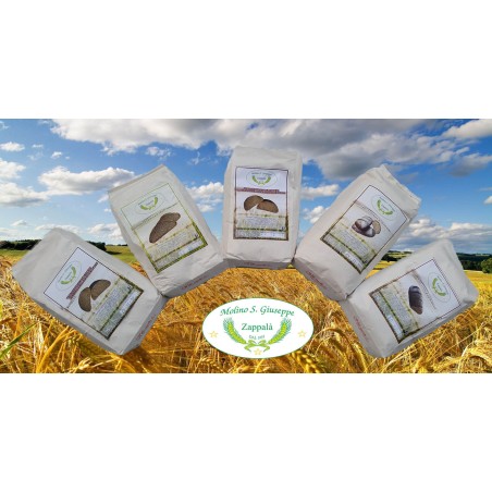 5 kg Wholemeal Mix – Russello, Tumminia and Buckwheat Flours