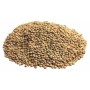 1kg Lenticchie Piccole "SICILIANE"