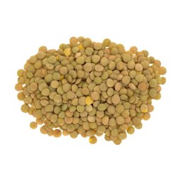 25 Kg Lenticchie Grandi "SICILIANE"