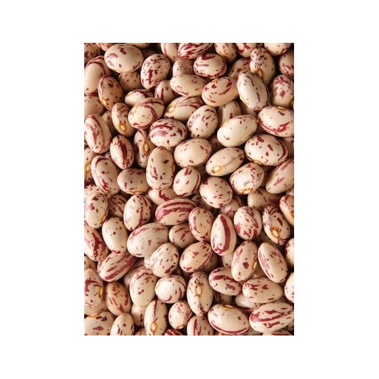 500g Fagioli Borlotti Lamon "Origine Italia"