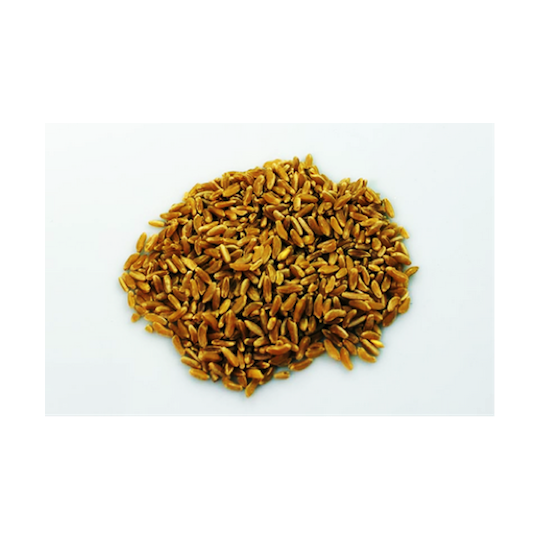 1Kg Hard Grain Variety "Perciasacchi"