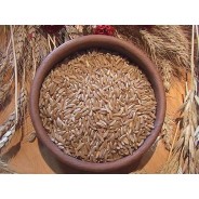 1kg Blé dur variété "Khorasan"