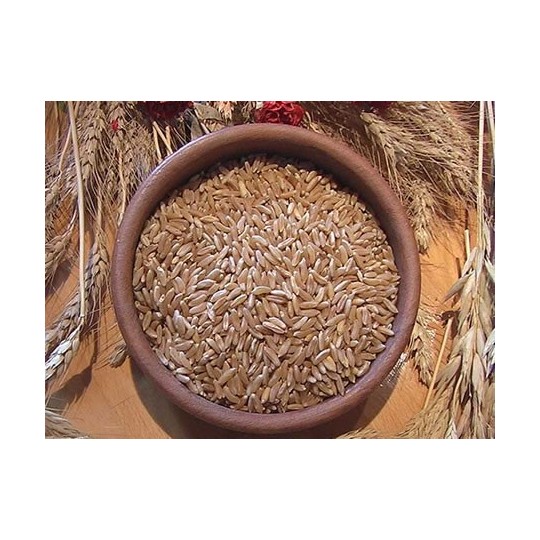 1kg Hard Grain Variety "Khorasan"