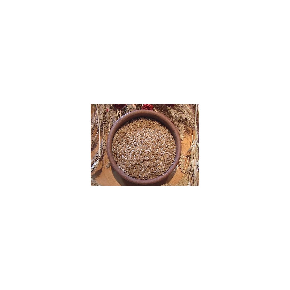 1kg Grano duro varietà "Khorasan"