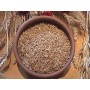 1kg Grano duro varietà "Khorasan"