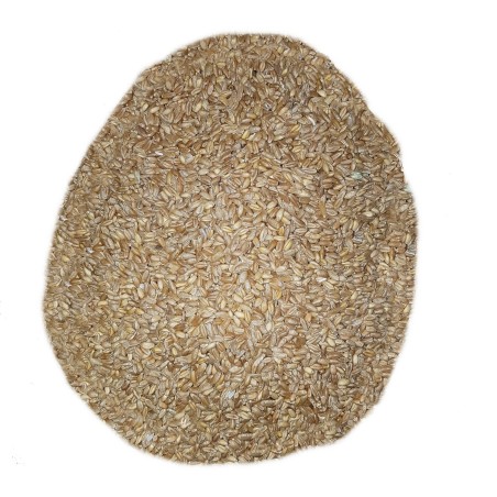 1Kg de blé dur "Russello"