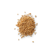 25Kg Grano Duro varietà "Senatore Cappelli"