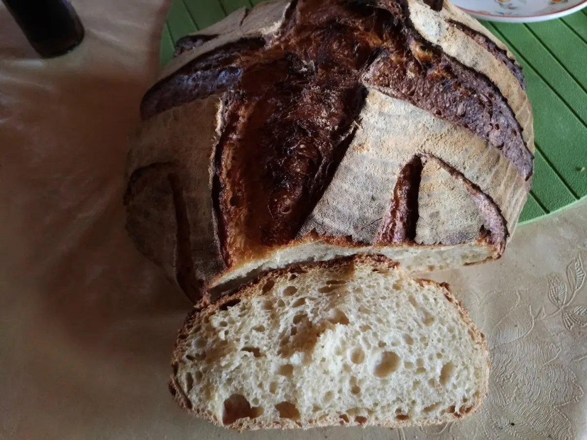 Harina de tritordeum